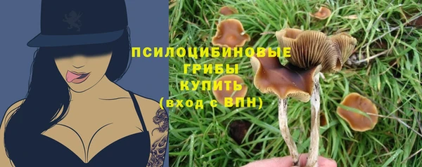 кокс Алексеевка