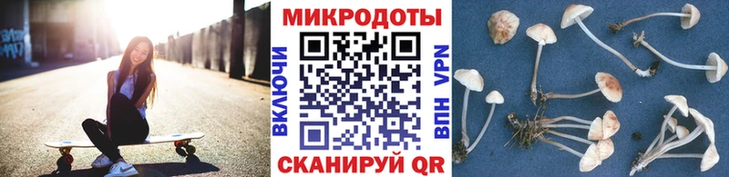 Купить  Тейково  Галлюциногенные грибы MAGIC MUSHROOMS 